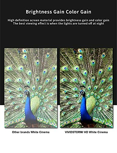 Comparison of peacock image quality on different screens, highlighting brightness gain.