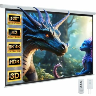 Projector screen displaying a dragon and a creature in a forest.