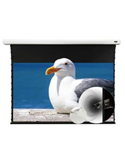 VIVIDSTORM Slimline Motorized Screen