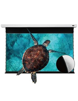 VIVIDSTORM Projection Screen